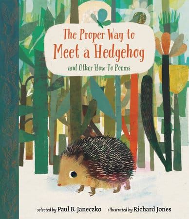 How-To Poems and My Love of Hedgehogs