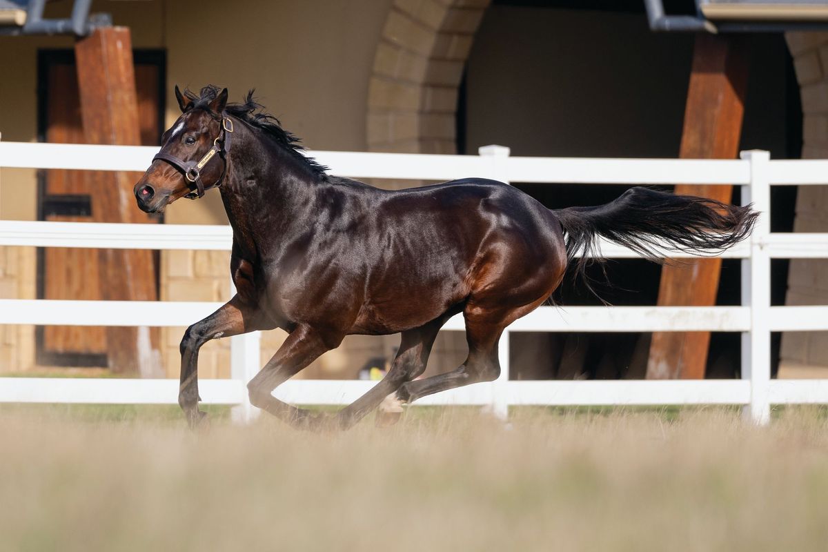 Proven success at Woodside Park