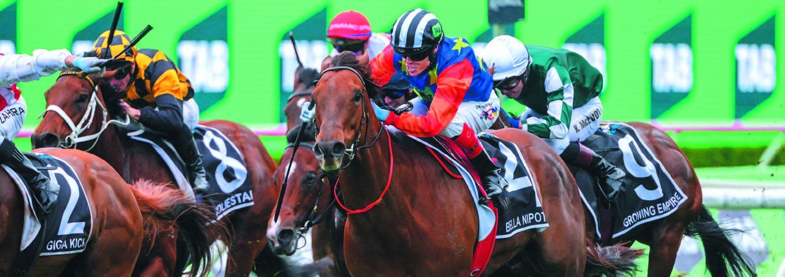 Rosemont Stud