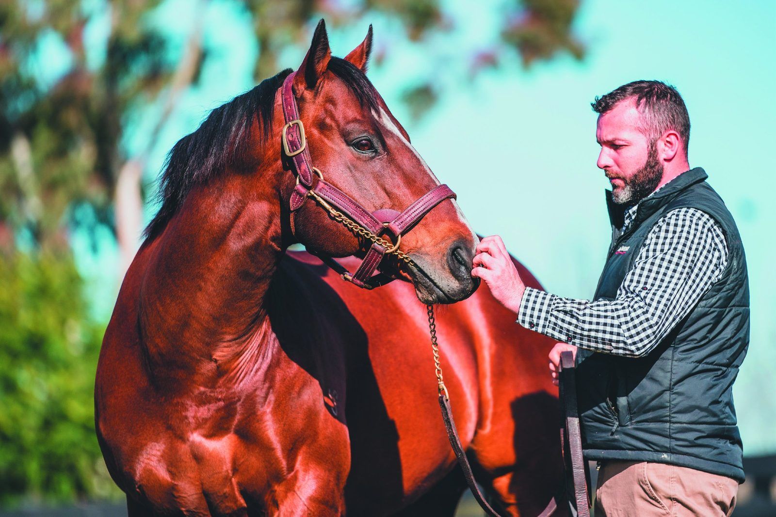 Passing of a giant