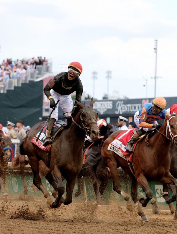 The Run for the Roses