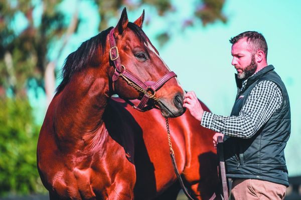 Passing of a giant