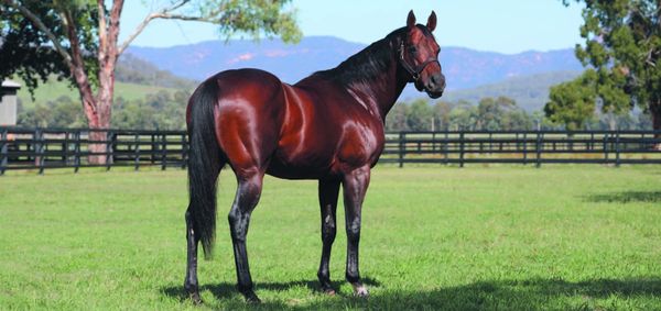 Blue Gum Farm