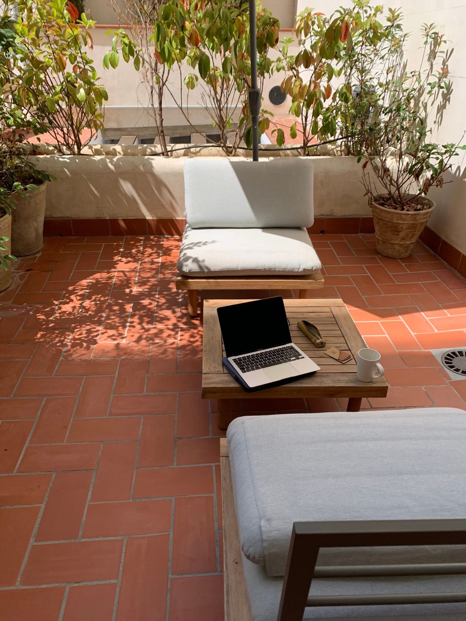 Chapter 19. MY MUM IS WHITE