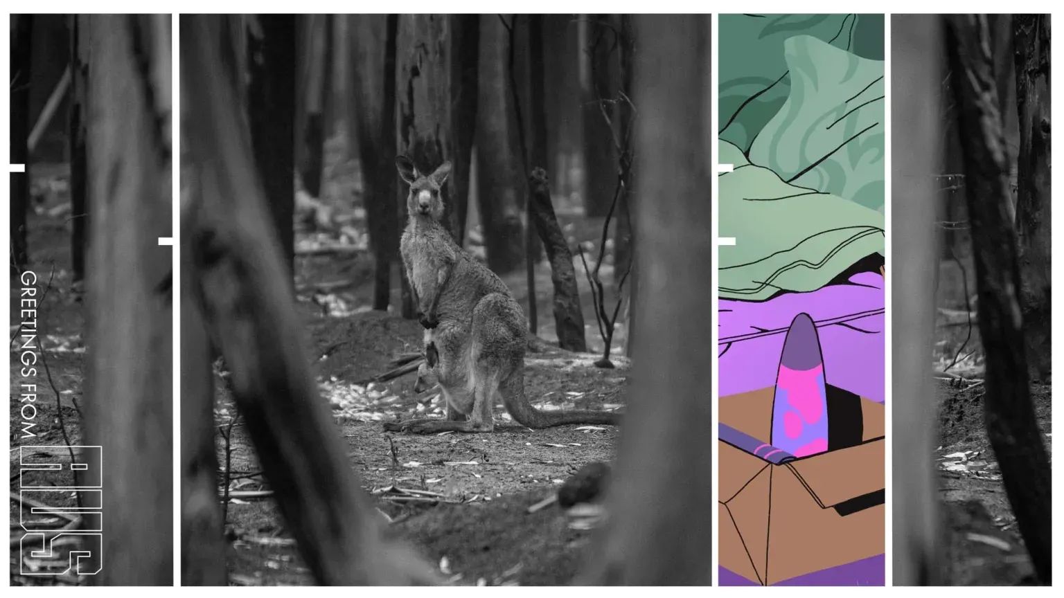 Climate Migration on Five Levels