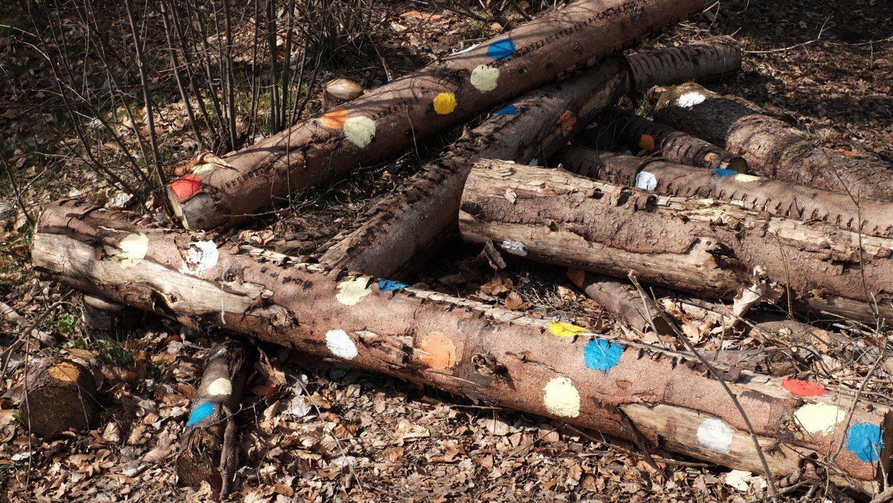 Tenday Notes 21 Apr - 30 Apr 2022