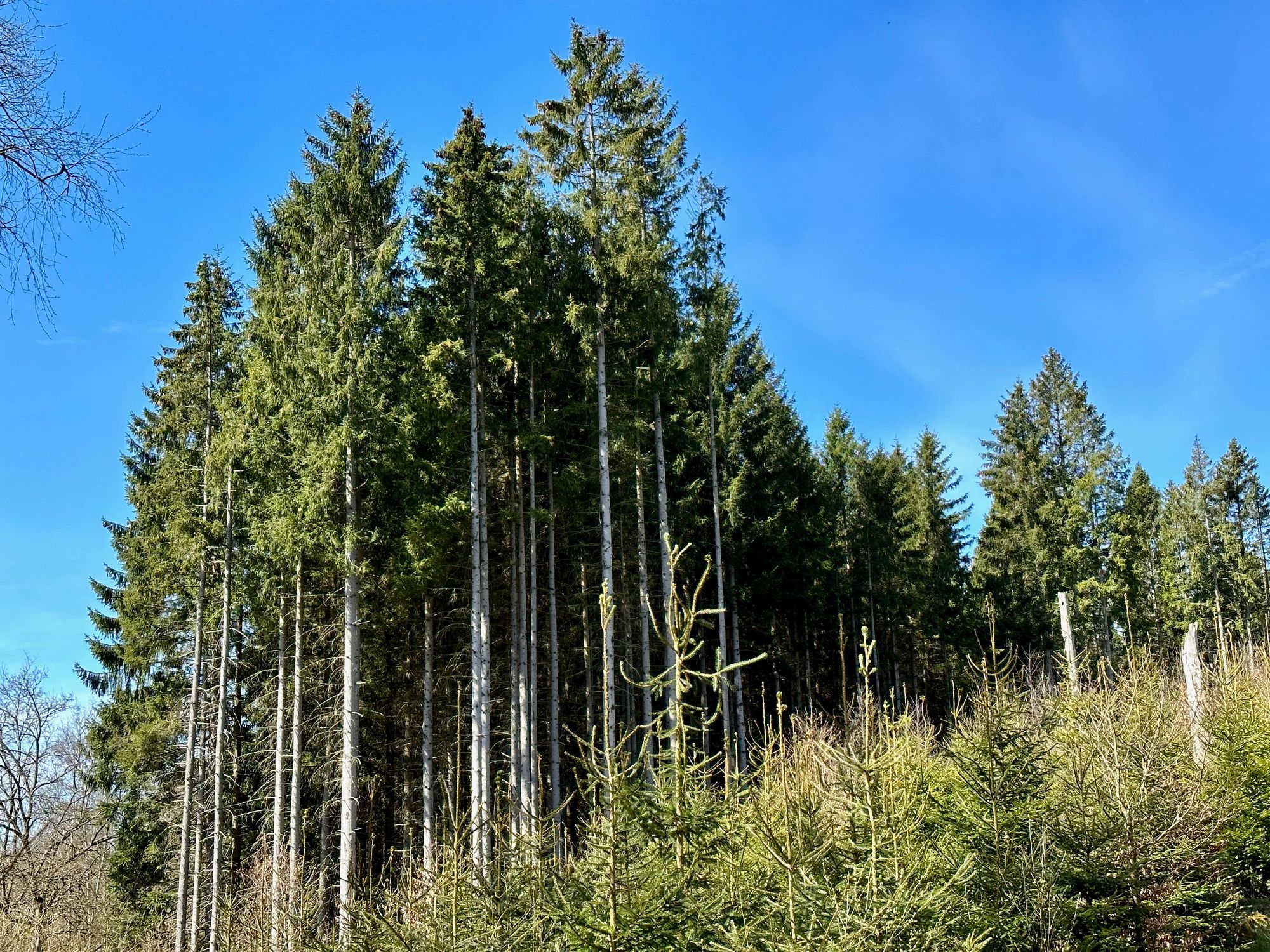 Tenday Notes 21 April - 30 April 2023