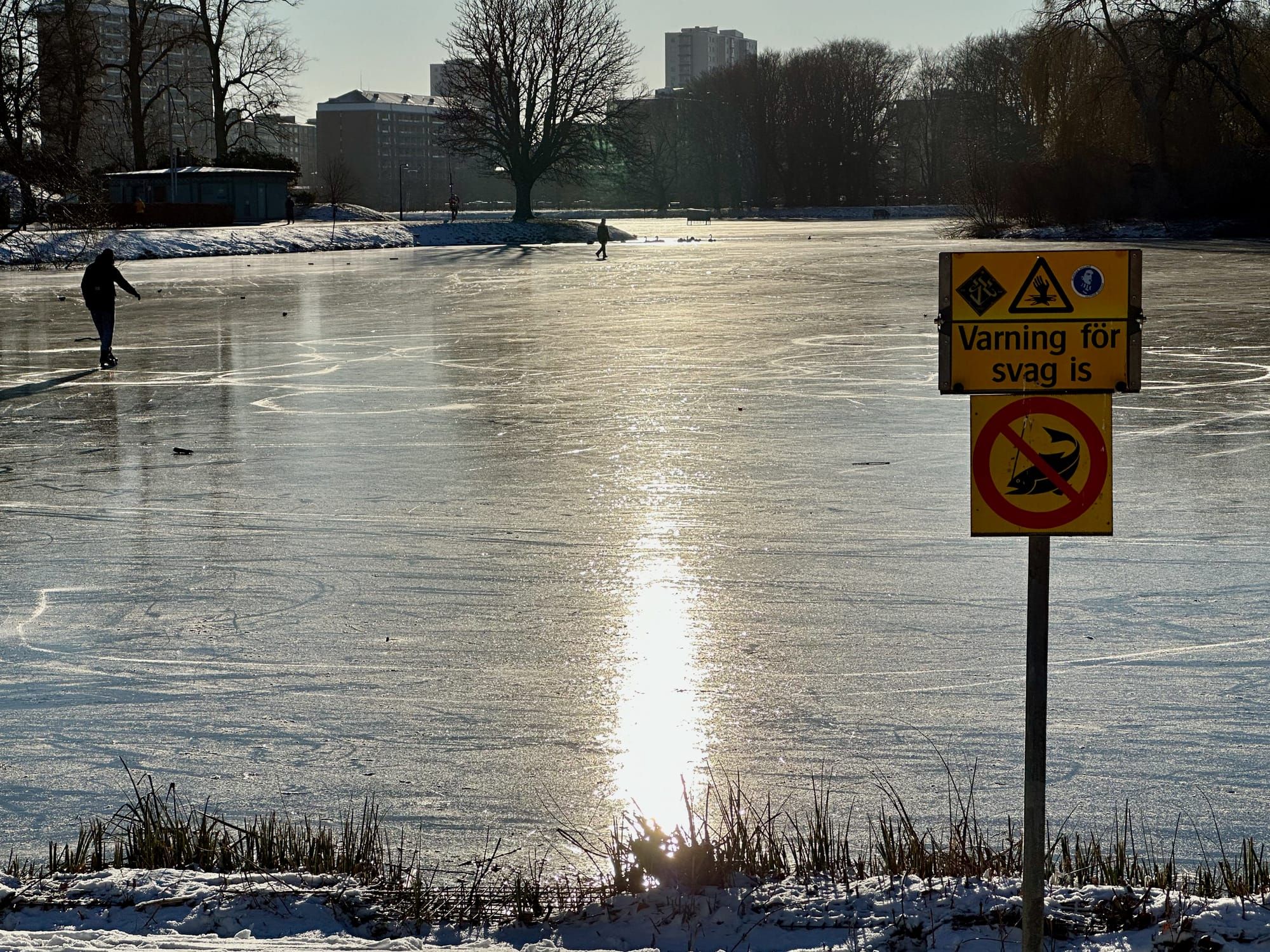 Monthnotes: January 2024