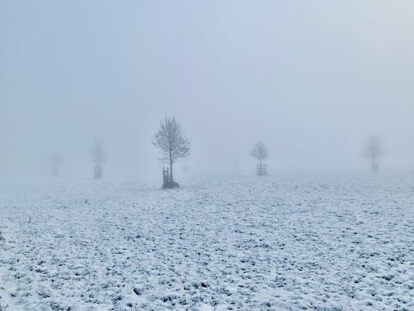 Tenday Notes 1 January - 10 January 2022