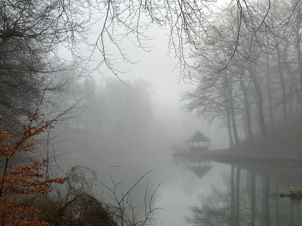 Tenday Notes 1 March - 10 March 2023