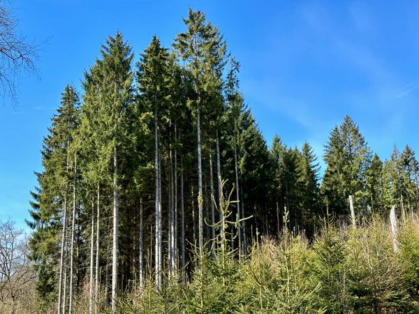 Tenday Notes 21 April - 30 April 2023