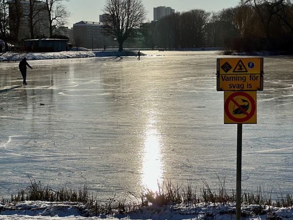 Monthnotes: January 2024