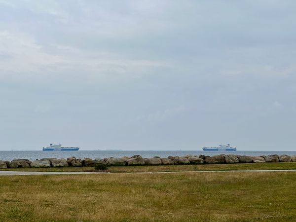 Monthnotes: June 2024