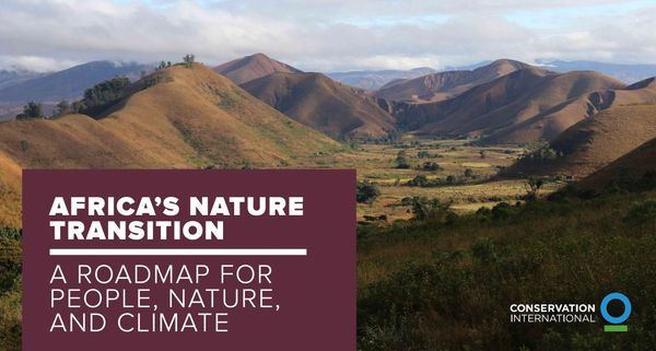 Africa's Nature Transition
