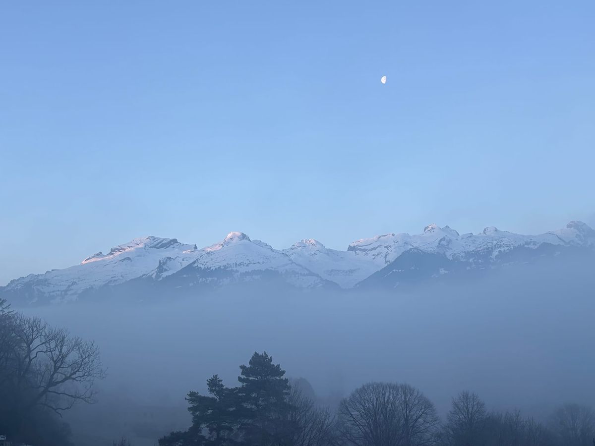 Six characteristics of democracy