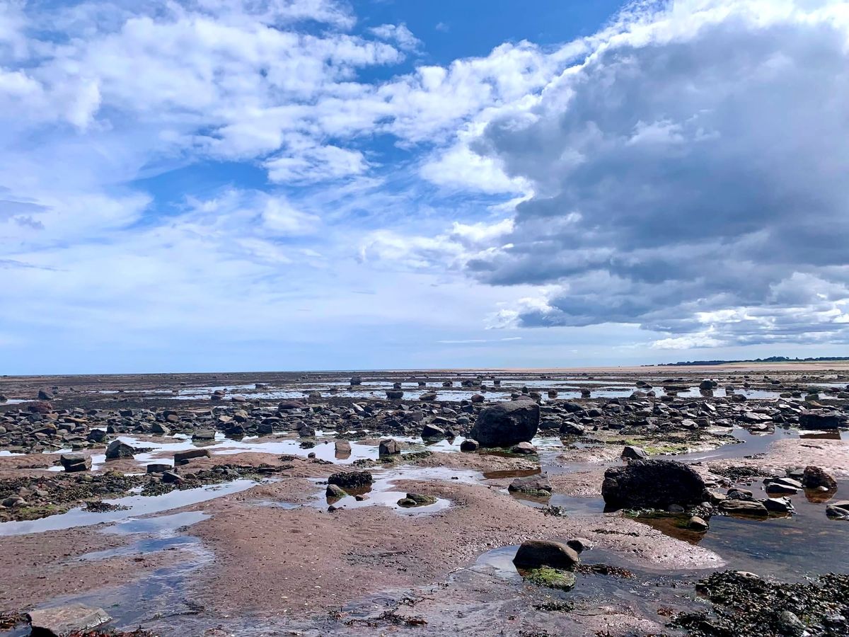 East Lothian beach scene. 