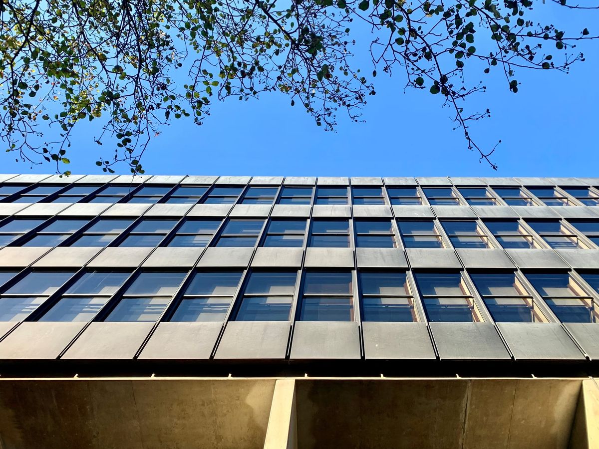 Symmetrical office block windows with blue sky and trees above.  