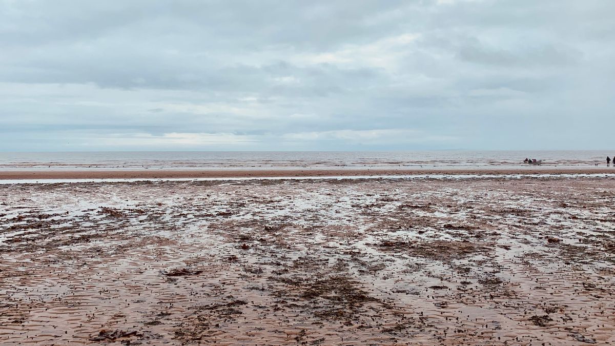 Portobello beach. 
