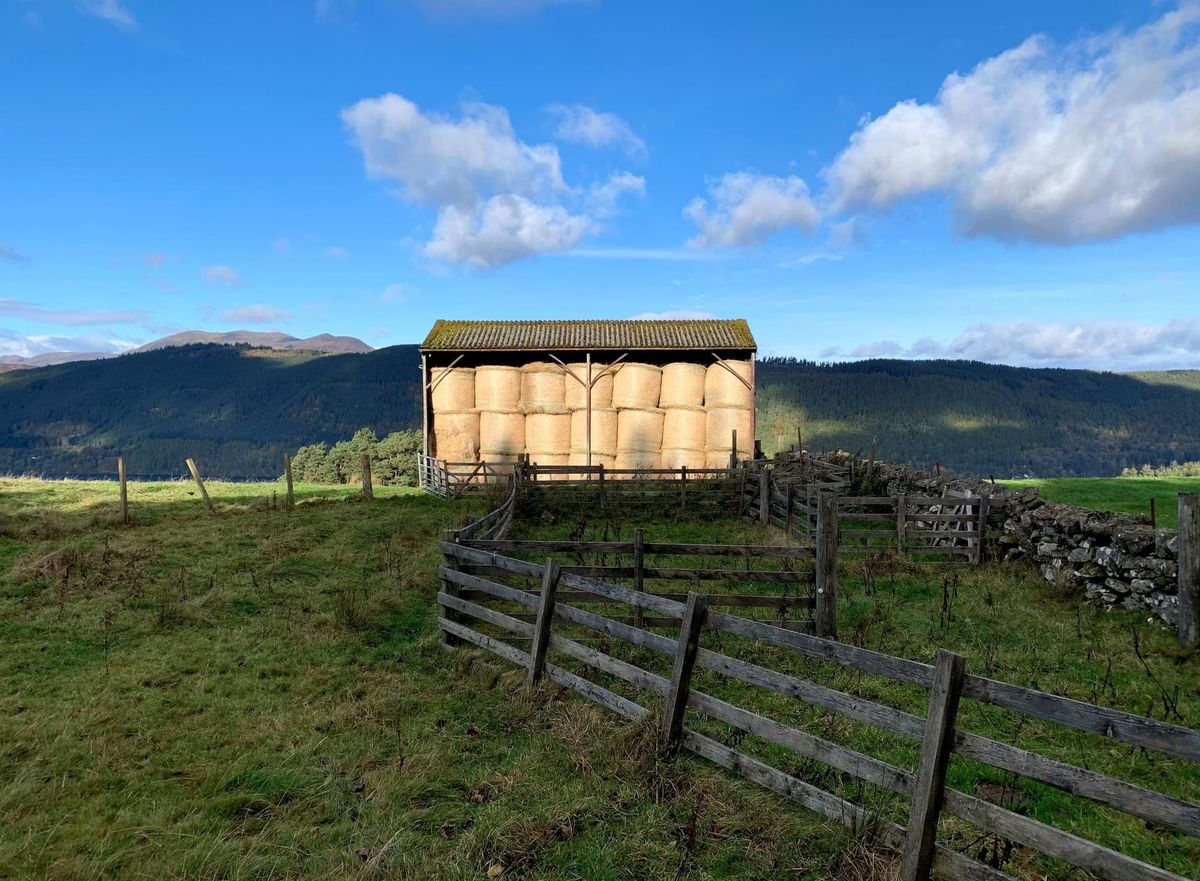 Sunlit hay barn in Scottish value against a blue sky. 