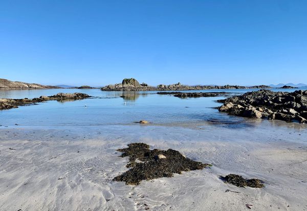 Sandy beach with seaweed, rock formations and blue sky. 