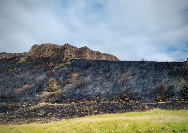 A burnt steep hillside, still smoking. 