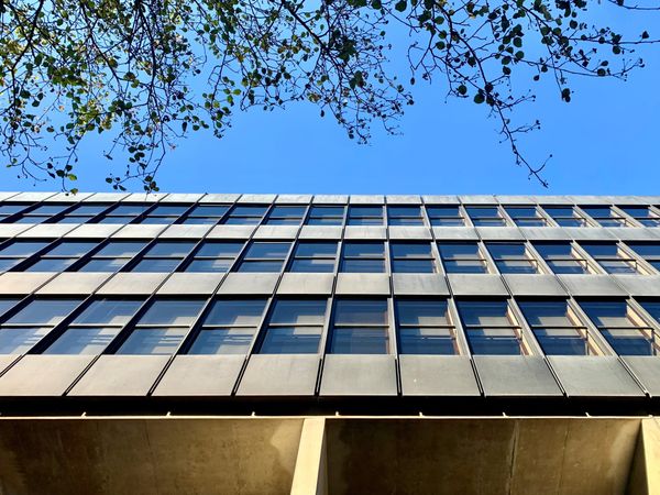 Symmetrical office block windows with blue sky and trees above.  