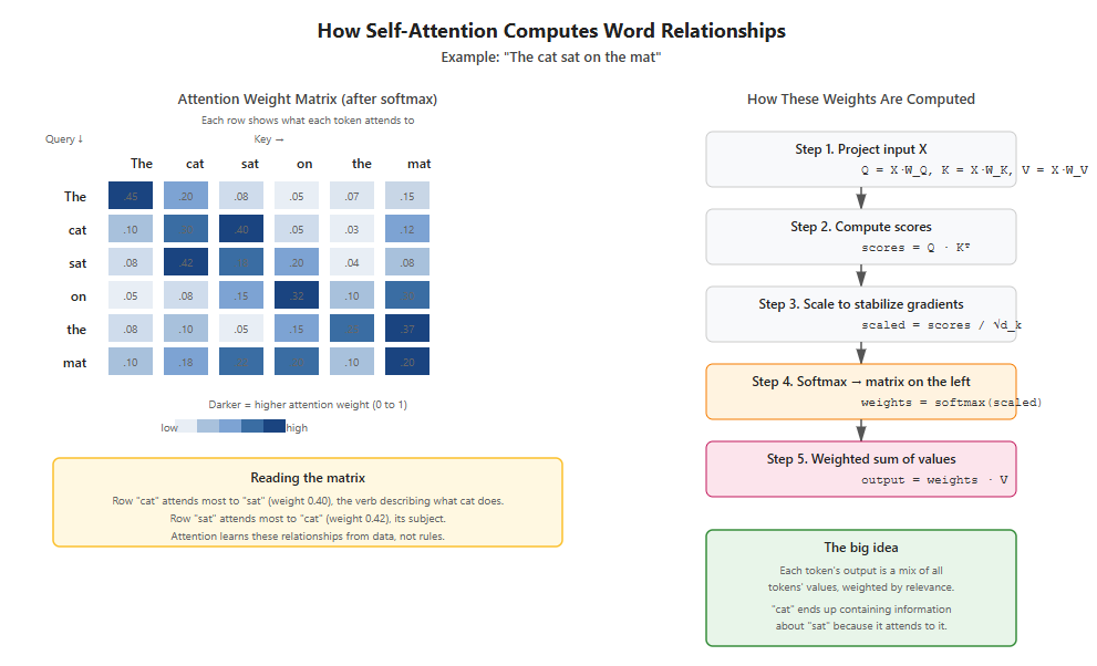 Diagram showing how self-attention works in deep learning using the example sentence The cat sat on the mat. The left side shows an attention weight matrix where each row represents a query token and each column represents a key token, with darker cells indicating stronger attention. The word cat attends most strongly to sat with weight 0.40, and sat attends back to cat with weight 0.42, demonstrating that attention learns subject-verb relationships from data. The right side shows the five-step computation pipeline: project the input into Q, K, V matrices, compute the dot product Q times K transposed, scale by the square root of d_k, apply softmax to produce the weight matrix, and finally compute the weighted sum with V to produce the output.