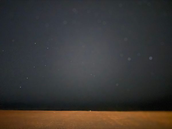 A visualization you should see.