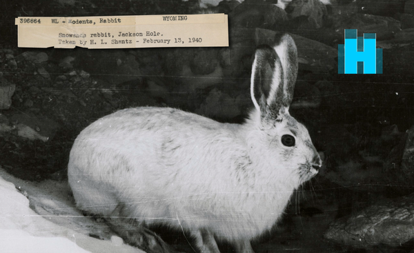 This way madness lies, but you knew that