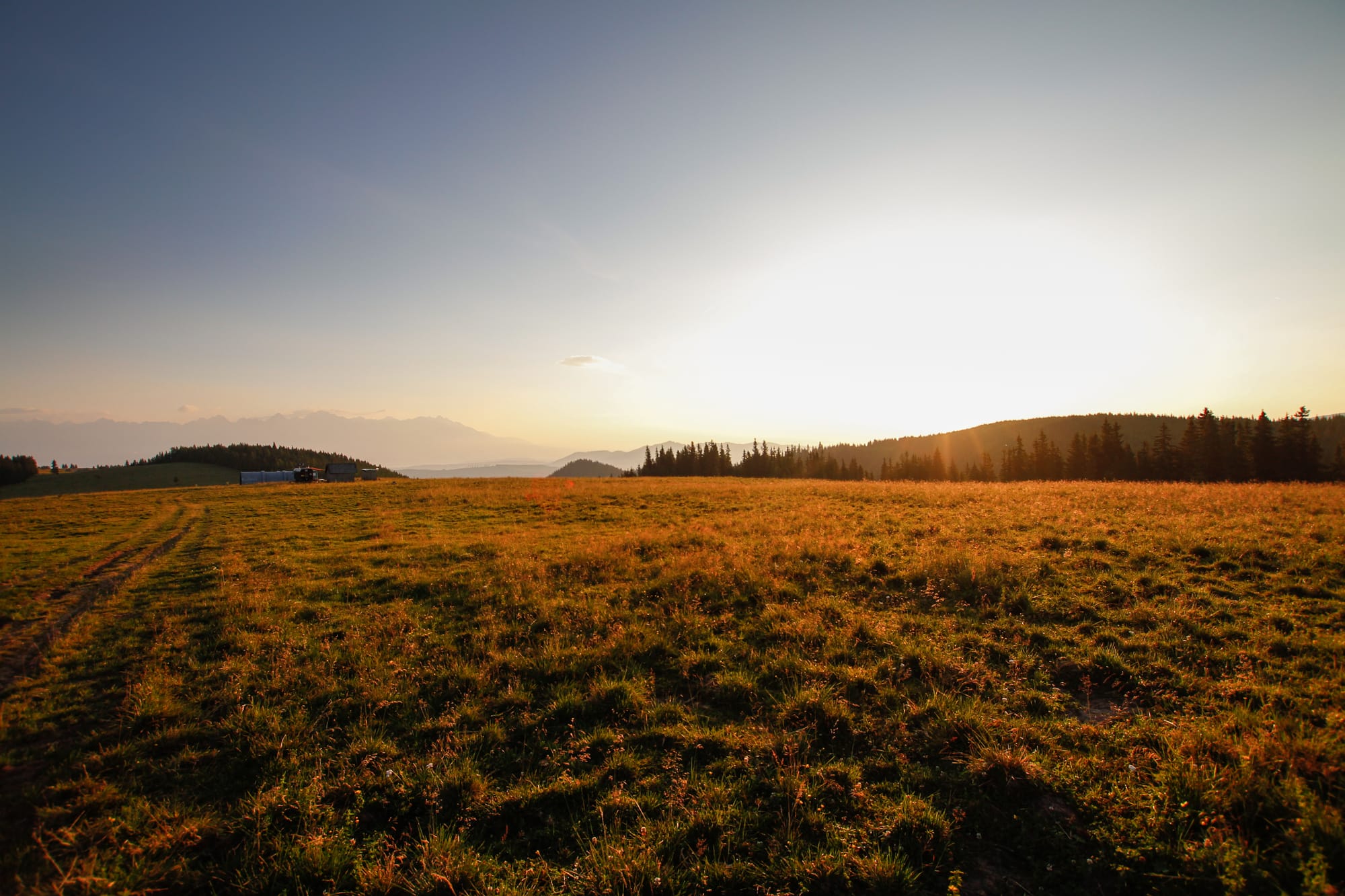 Some Landscapes Are Not Places. They Are Habits.