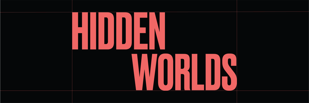 Peek Inside 'Hidden Worlds'