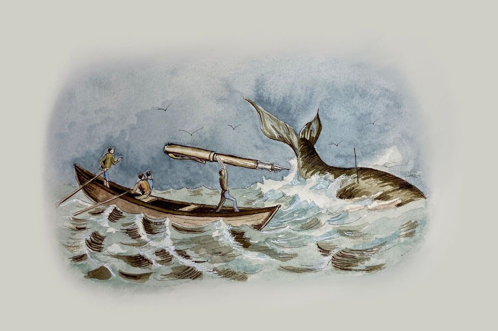 FTX, a Whale Hunter's Delight