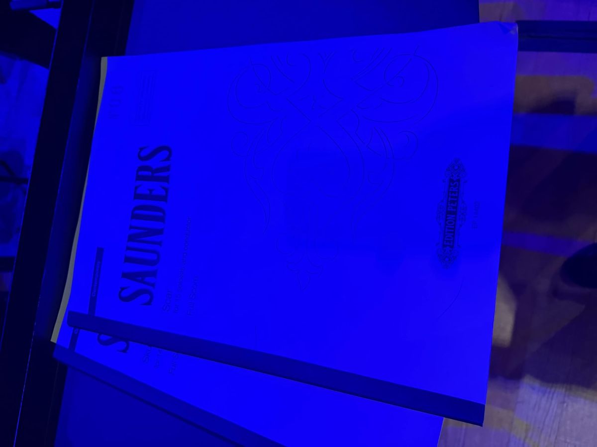 Second Modern / Rebecca Saunders
