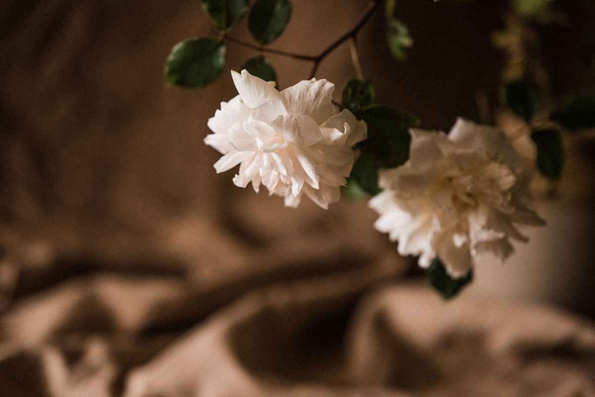 The courage to let go of perfectionism.