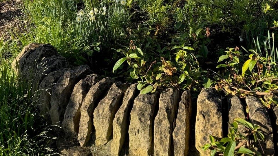 Ten steps to horticultural heaven (plus a bonus eleventh)