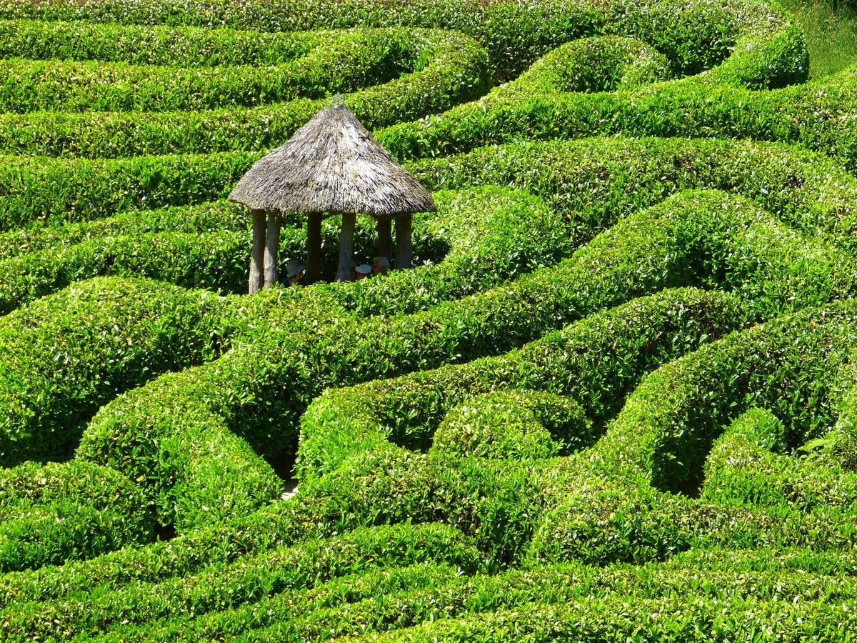 The Marmite that is the maze: and what we can learn from them