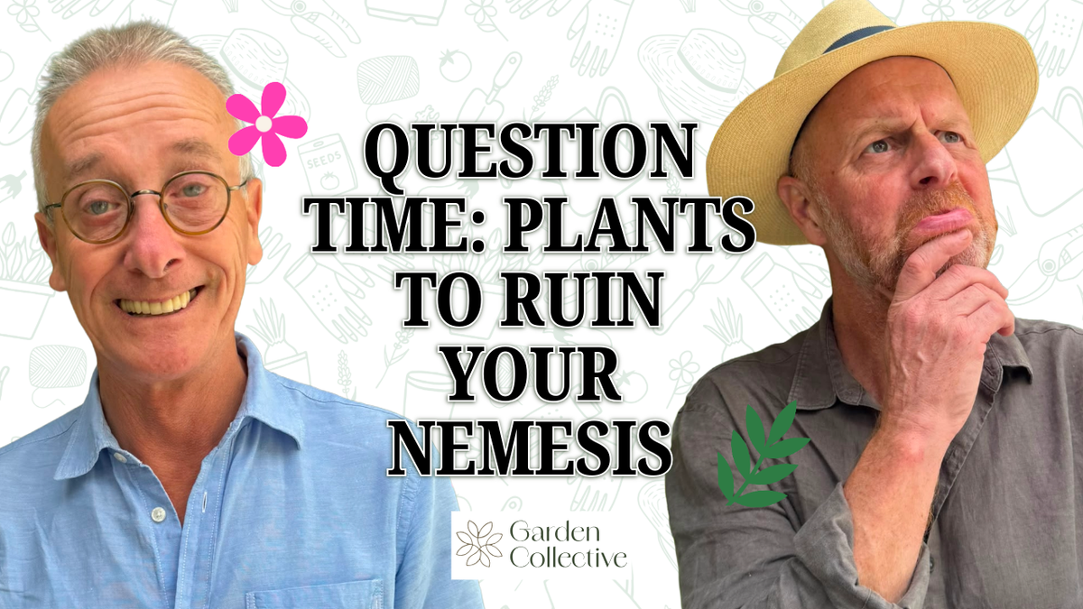 Question Time: Pants, Poetry, and Plants to Ruin Your Nemesis