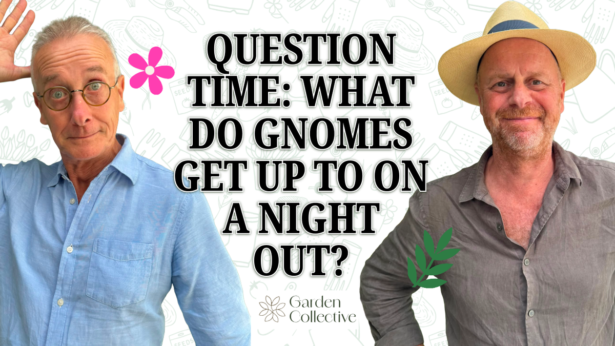 Question Time: Spiky Plants, Lazy Car Park Gardens & a Gnome on the Razzle