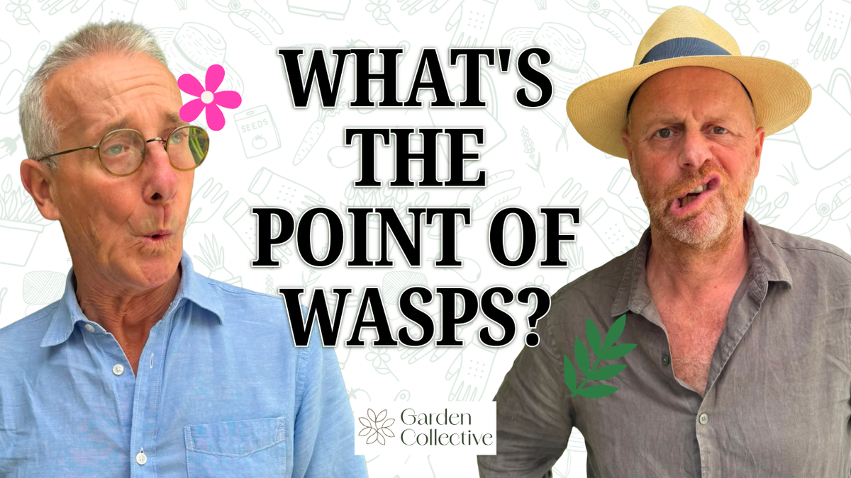 What's the Point of WASPS? (And Ticks, Midges and Chicken Mites)