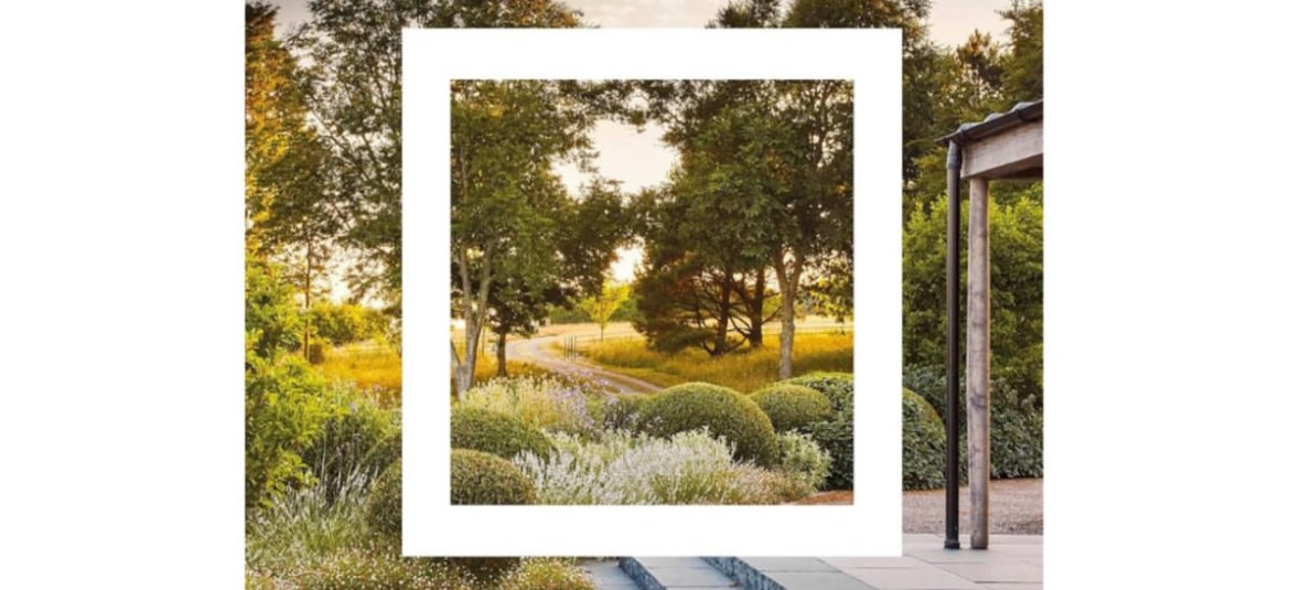 Gardens, Annotated: Chris Young on why great gardens work