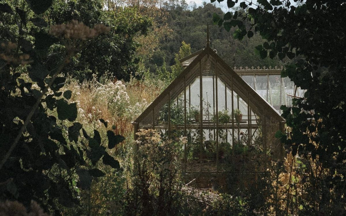 The garden writing you've been waiting for