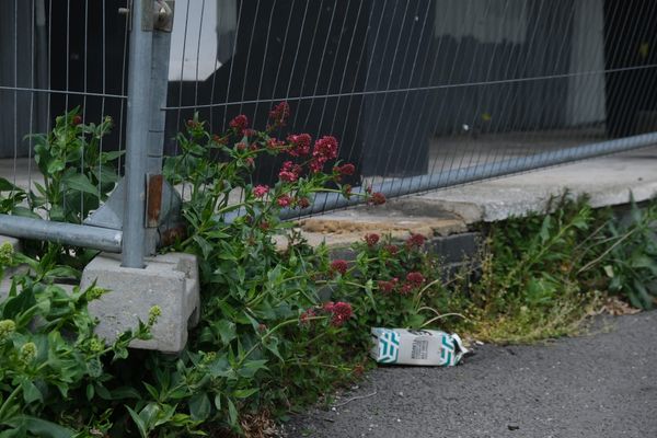 Excuse me sir, but your garden is leaking