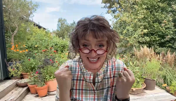 How not to Garden: the September edition