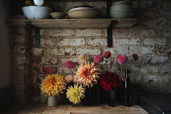 10 Reasons gardeners have September as the start of a new year