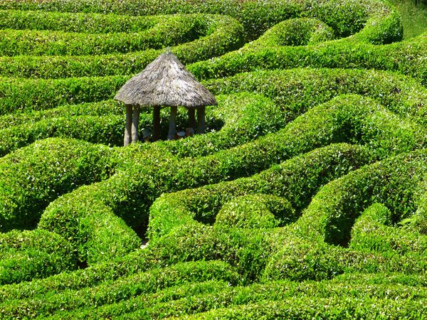 The Marmite that is the maze: and what we can learn from them