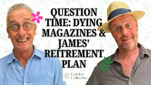 Question Time: Dying Birches, Dying Magazines, and James's Retirement Plan