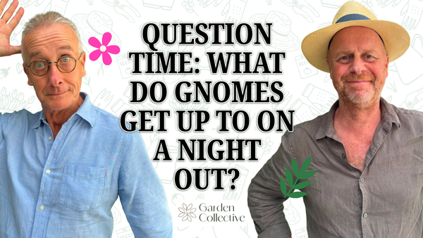 Question Time: Spiky Plants, Lazy Car Park Gardens & a Gnome on the Razzle