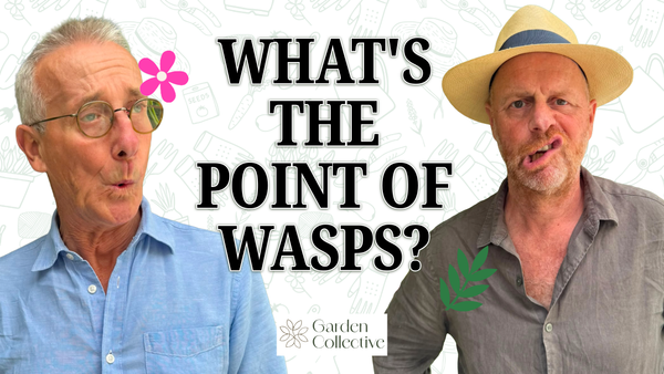 What's the Point of WASPS? (And Ticks, Midges and Chicken Mites)