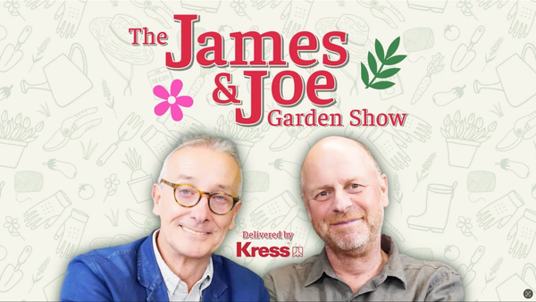 Is Sitting Down the Most Important Thing in Garden Design?
