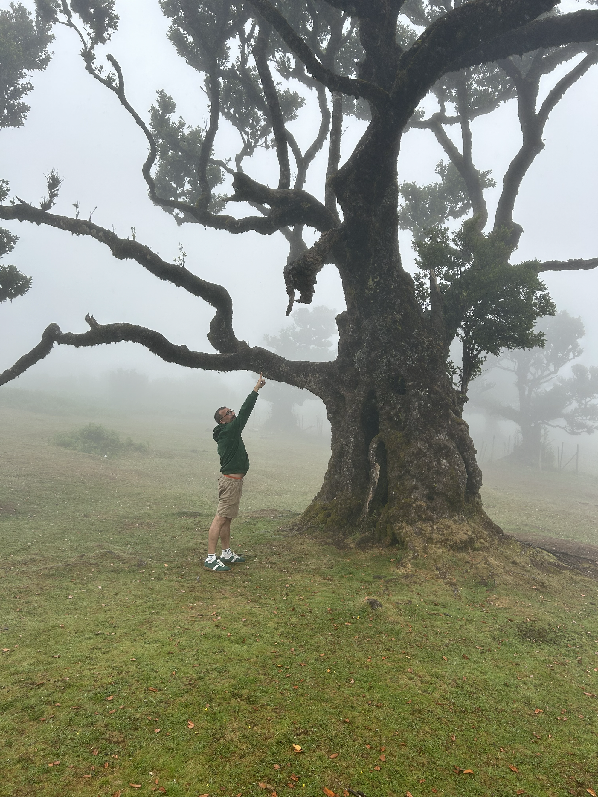 José Miguel Rodrigues